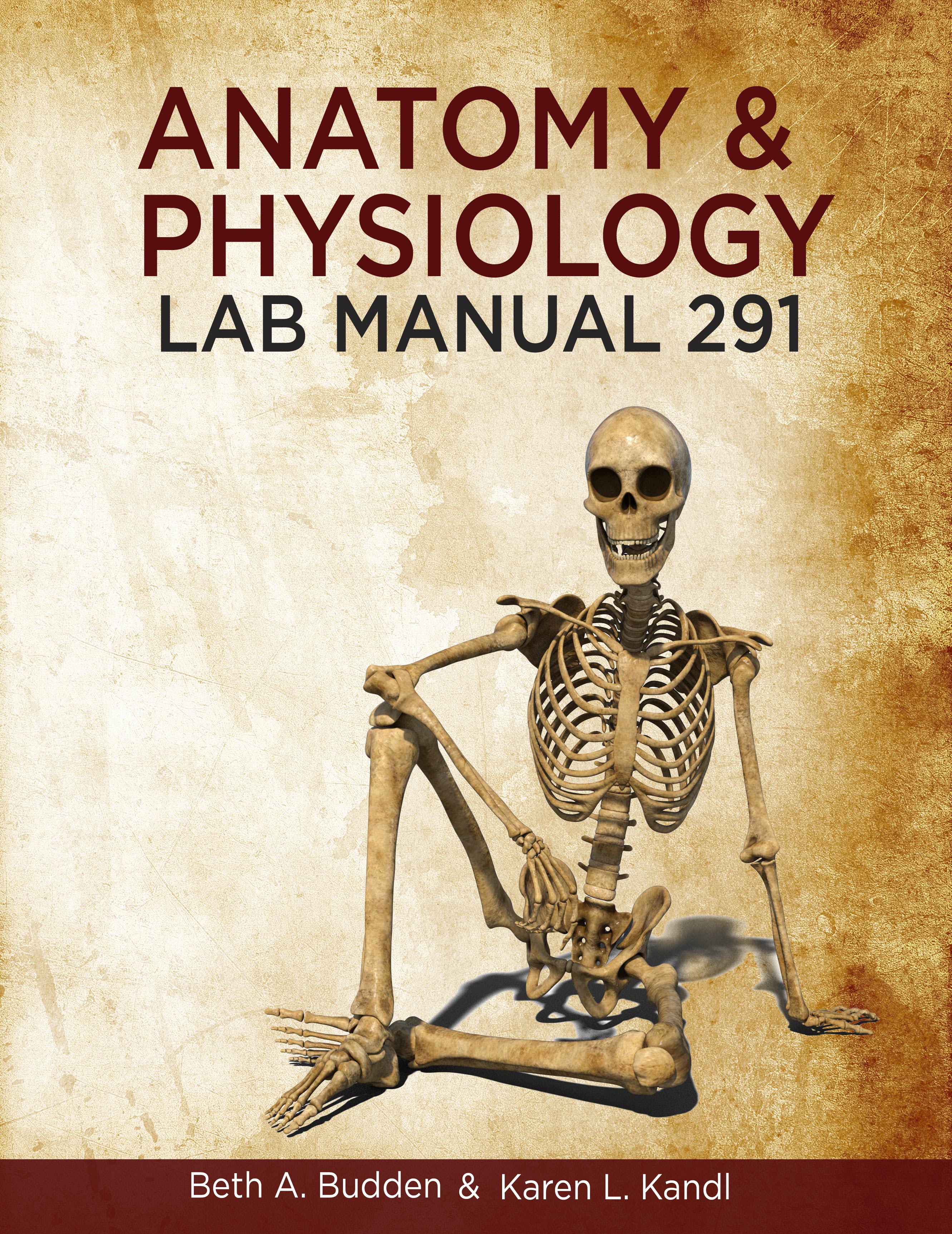 Product Details - Anatomy & Physiology I Lab Manual 291 | Great 