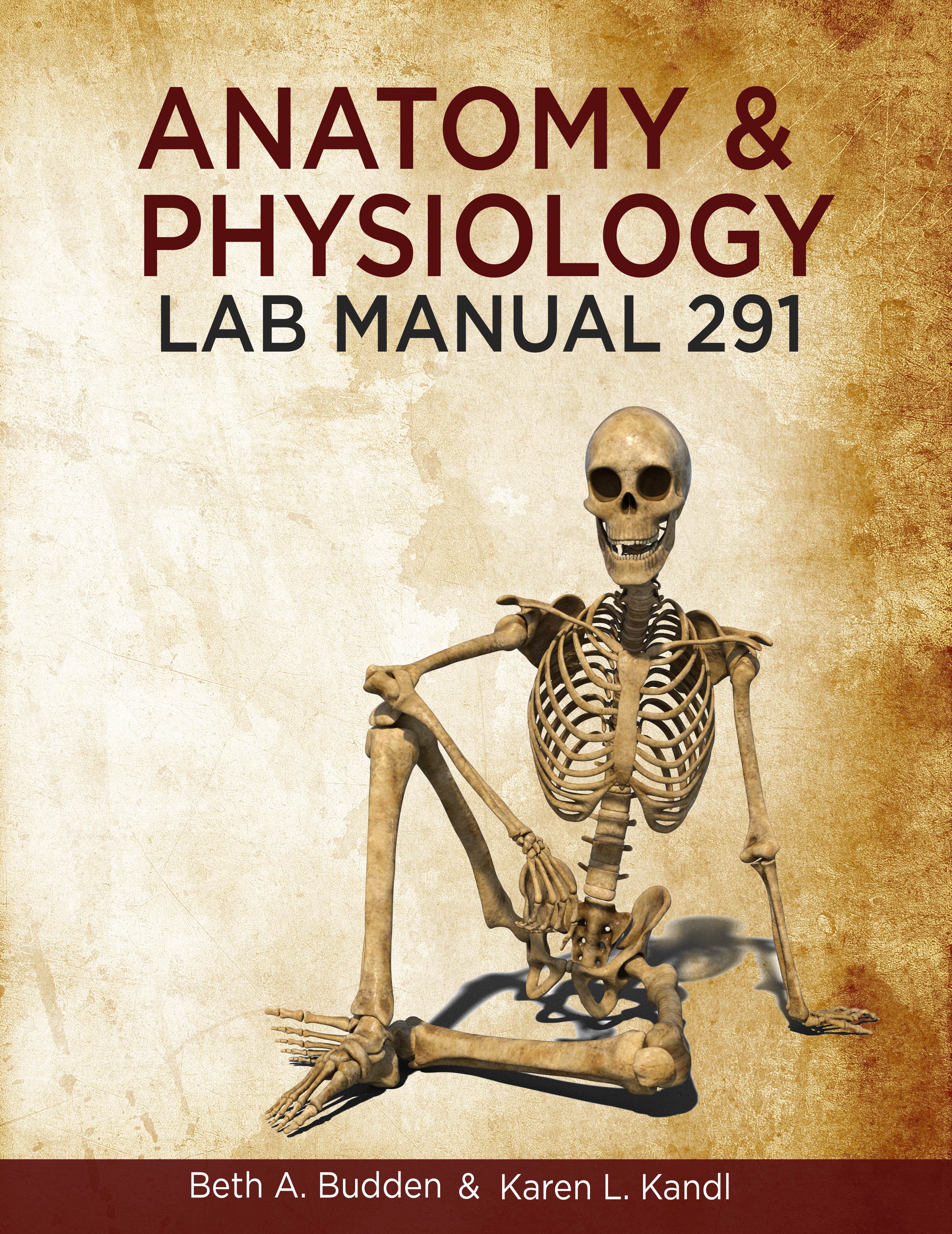 Anatomy & Physiology Lab Manual 291