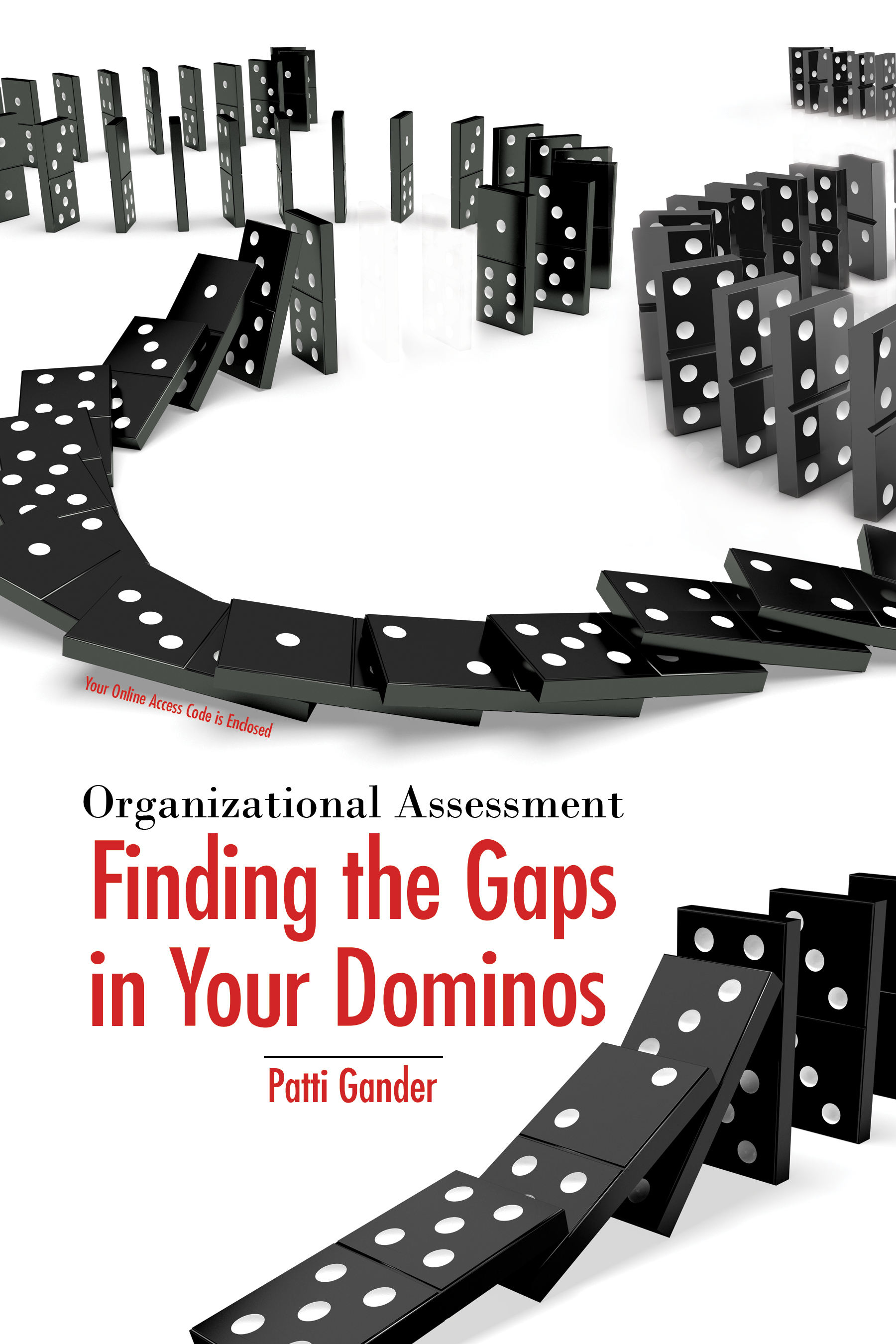 Organizational Assessment: Finding the Gaps in Your Dominos - product image
