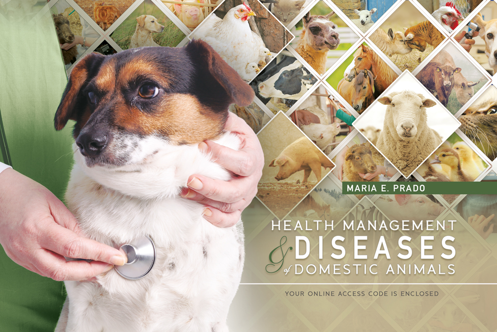 Product Details - Health Management and Diseases of Domestic Animals |  Great River Learning