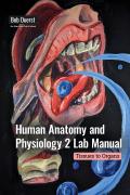 Human Anatomy and Physiology 2 Lab Manual